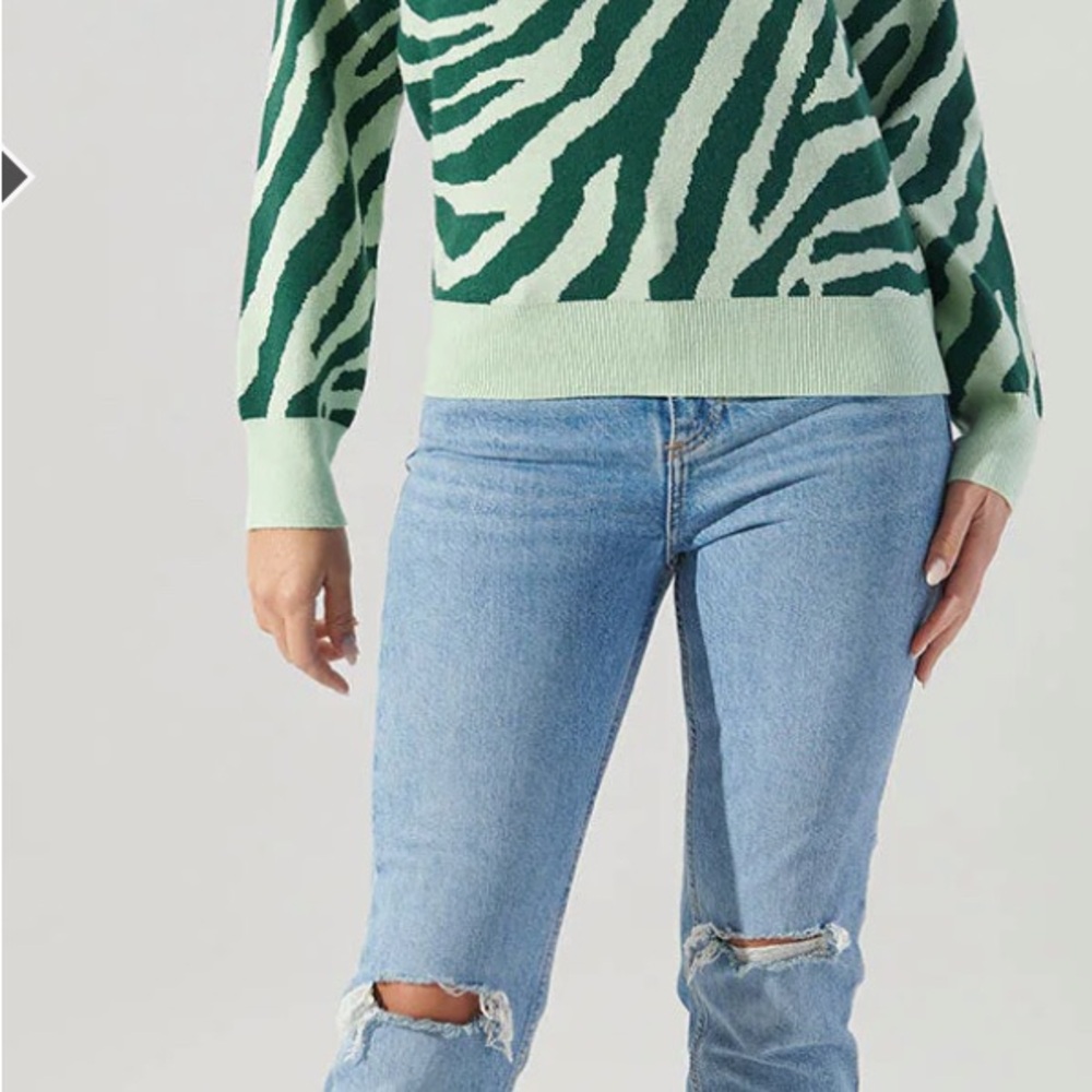 Sugarlips Mint and Dark Green Zebra Sweater - Picture 2 of 6